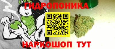 МДПВ Ливны