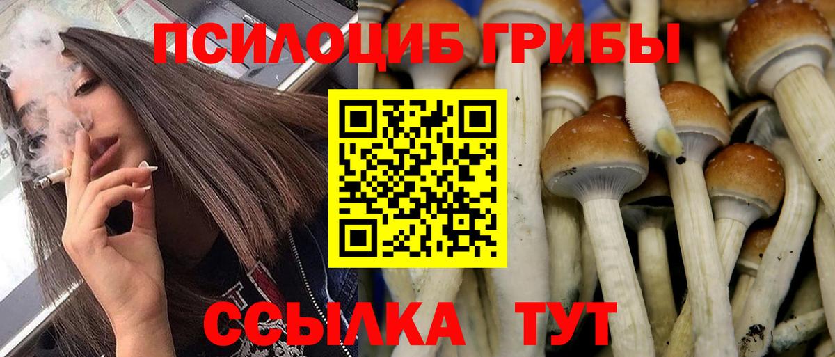 как найти закладки  Псилоцибиновые грибы Magic Shrooms  Вход с VPN  Елабуга 